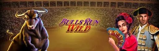 Bulls Run Wild game art