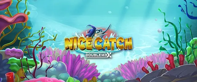 Nice Catch DoubleMax game art