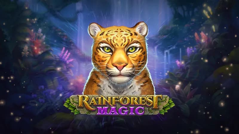 Rainforest Magic game art