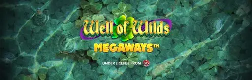 Well of Wilds Megaways game art