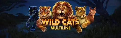 Wild Cats Multiline game art