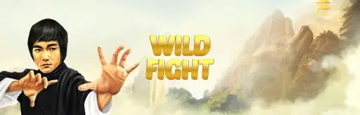 Wild Fight game art